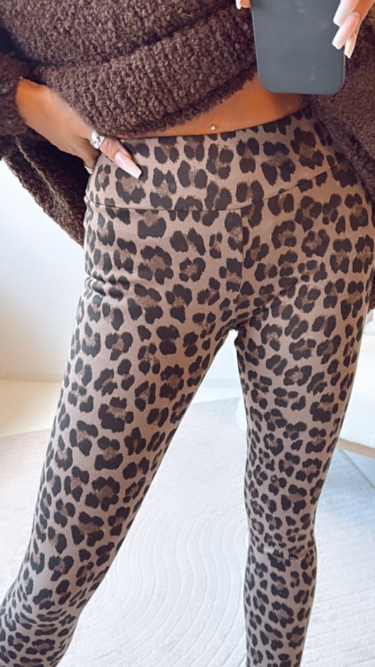 dickere Leo Leggings / braun - schwarz Art. 8206